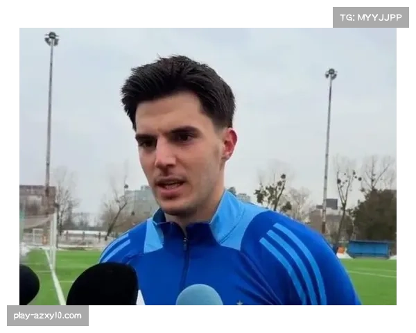 罗斯阿洛伊西浙江依赖王钰栋米特里策 托利奇补强防线